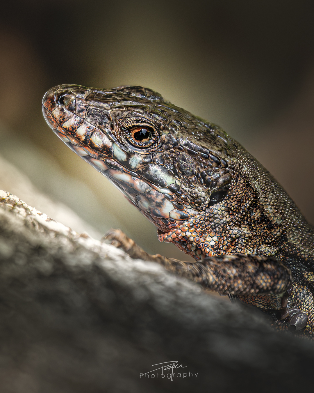 09.06.2025- Frühling